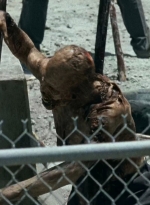 twd0703-0185.jpg