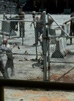 twd0703-2915.jpg