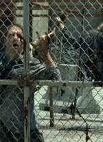 twd0703-2960.jpg