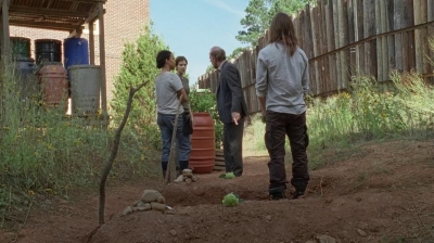 twd0705-0370.jpg