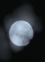 twd0705-1017.jpg