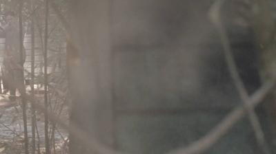 twd0706-0934.jpg