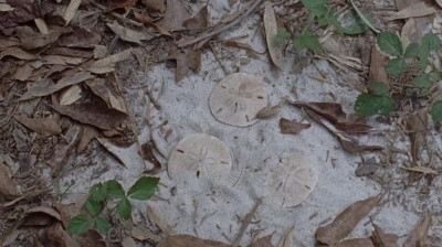 twd0706-2198.jpg