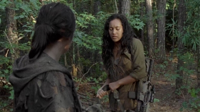 twd0706-2702.jpg