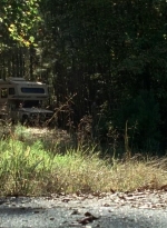 twd0706-0197.jpg