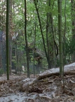 twd0706-0950.jpg