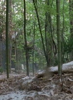 twd0706-0951.jpg
