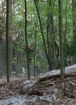 twd0706-0952.jpg