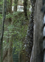 twd0706-0953.jpg
