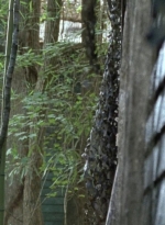 twd0706-0954.jpg
