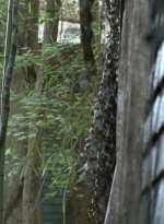 twd0706-0955.jpg