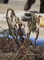 twd0706-1167.jpg