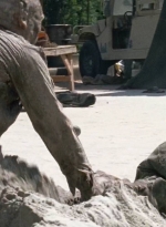 twd0706-1285.jpg