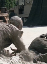 twd0706-1286.jpg