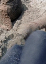 twd0706-1294.jpg
