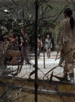 twd0706-2206.jpg