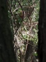 twd0706-2320.jpg