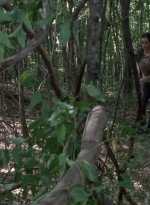 twd0706-2332.jpg