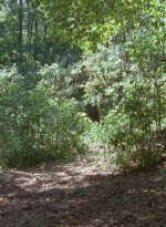 twd0706-2419.jpg