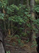 twd0706-2615.jpg