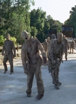 twd0706-2908.jpg