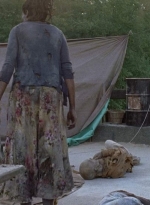 twd0706-3016.jpg