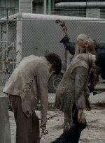 twd0707-0539.jpg