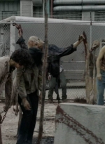 twd0707-0541.jpg