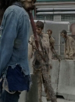 twd0707-0543.jpg