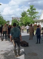 twd0708-3397.jpg