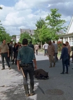 twd0708-3398.jpg