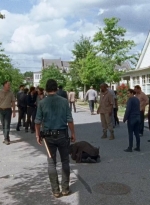 twd0708-3399.jpg