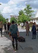 twd0708-3400.jpg