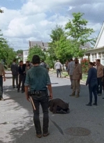 twd0708-3402.jpg