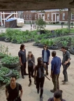 twd0709-0884.jpg