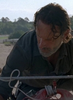 twd0709-2501.jpg