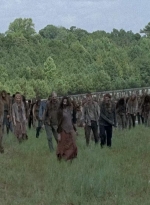 twd0709-2756.jpg