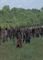 twd0709-2759.jpg