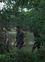 twd0709-3446.jpg