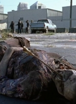 twd0710-0377.jpg