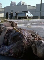 twd0710-0381.jpg