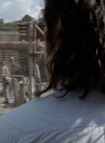 twd0711-1003.jpg