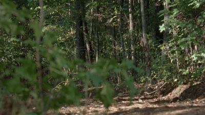 twd0712-0155.jpg