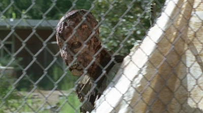 twd0712-0622.jpg
