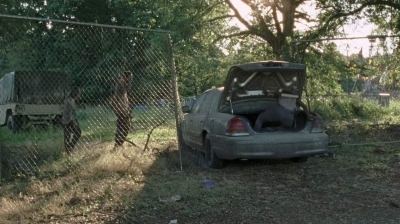 twd0712-2011.jpg