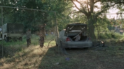 twd0712-2013.jpg