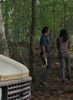 twd0712-0555.jpg