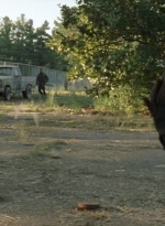 twd0712-1997.jpg