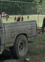 twd0712-2005.jpg