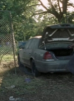 twd0712-2010.jpg